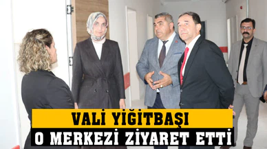 Vali Yiğitbaşı, Olgunlaşma Enstitüsü’nde incelemelerde bulundu