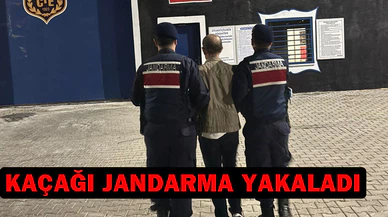 8 yıl 4 ay hapis cezasıyla aranan şahsı devriye gezen jandarma yakaladı