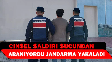 Basit cinsel saldırı suçundan aranan şahsı jandarma yakaladı