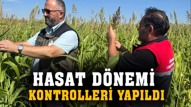 Sorgum ve sudan otlarında hasat dönemi kontrolleri yapıldı