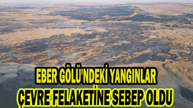 EBER GÖLÜ'NDEKİ YANGINLAR ÇEVRE FELAKETİNE SEBEP OLDU