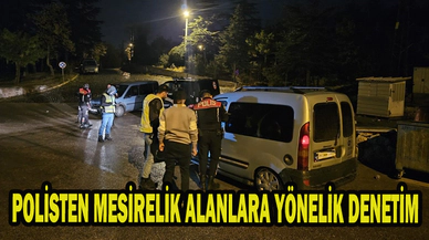 POLİSTEN MESİRELİK ALANLARA YÖNELİK DENETİM