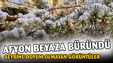 Afyonkarahisar'da kar manzaraları