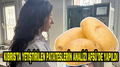 KIBRIS’TA YETİŞTİRİLEN PATATESLERİN ANALİZİ AFSÜ’DE YAPILDI