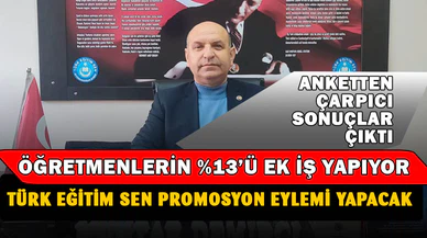 Türk Eğitim-Sen'den çarpıcı anket