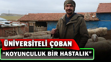 Üniversiteli çoban kış mevsiminde hayvan bakımının zorluklarını anlattı