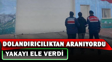Dolandırıcılık suçundan aranırken jandarmaya yakalandı