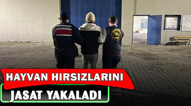 Büyükbaş hayvan hırsızlarını JASAT yakaladı