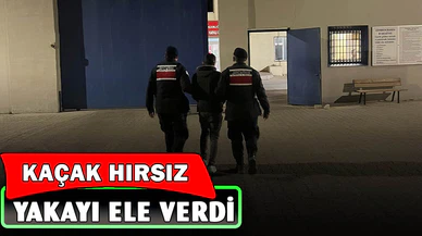 Hırsızlık suçundan aranan şahsı jandarma yakaladı