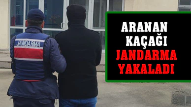 Kaçak şahısları jandarma yakaladı