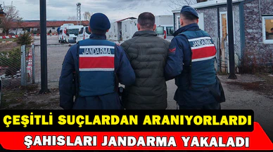 Çeşitli suçlardan aranan 2 şahıs jandarma tarafından yakalandı