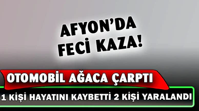 Ağaca çarpan otomobilde 1 kişi öldü, 2 kişi yaralandı