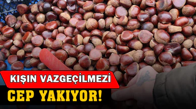 Kışın vazgeçilmezi cep yakıyor
