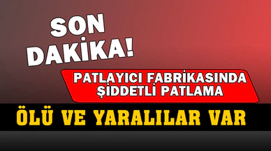 Son Dakika! Balıkesir'den Acı Haber Geldi