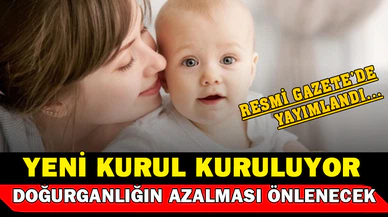 Resmi Gazete'de Yayımlandı... Doğurganlığın Azalmasına Önlem Alınacak