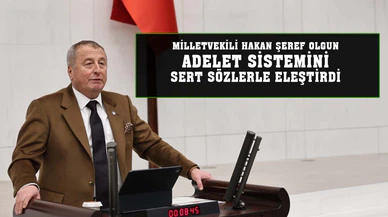 Milletvekili Olgun, adalet sistemini eleştirdi