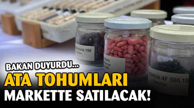 Şubat ayından itibaren Tarım Kredi Kooperatiflerinde ata tohumu dönemi başlıyor