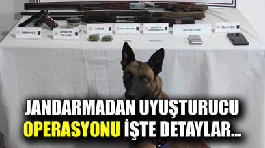 Afyon'da jandarmadan operasyonu