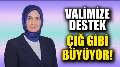 Devlet Ana'ya Destek Çığ Gibi Büyüyor!