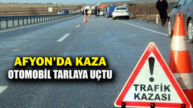 Tarım arazisine devrilen otomobilde 4 kişi yaralandı