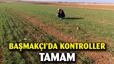 Ekili tarım arazilerinde bitki çıkış, hastalık ve zararlı kontrolleri yapıldı