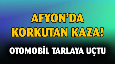 Tarım arazisine devrilen otomobilde 2 kişi yaralandı