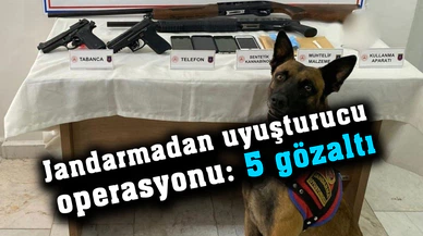 Jandarmadan uy...şturucu operasyonu: 5 gözaltı