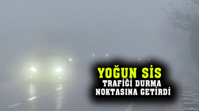 Sisli hava hayatı durma noktasına getirdi