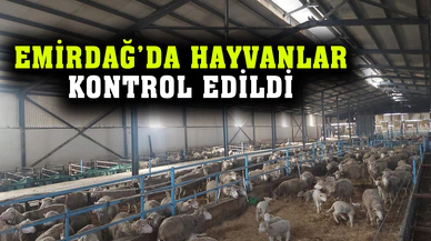 Emirdağ’da hayvanlar kontrol edildi