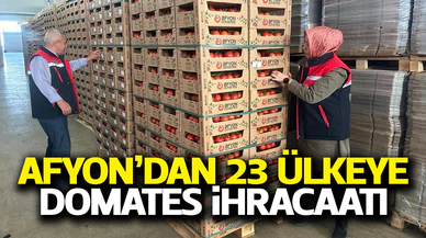 Afyon'dan 2024'de 8 Bin 700 Ton Domates İhraç Edildi