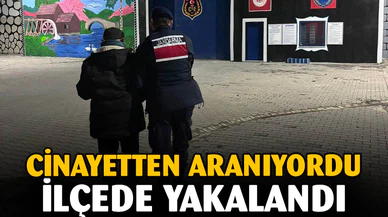 10 yıl 9 ay hapis cezasıyla aranan şahsı jandarma yakaladı