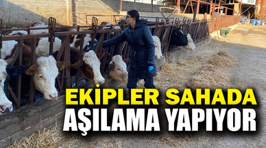 Ekipler sahada aşılama yapıyor