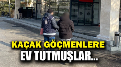 Kaçak göçmenlere ev tutmuşlardı