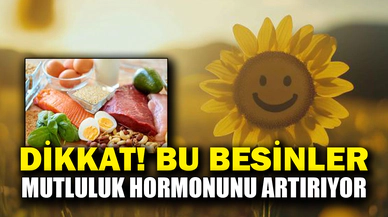 "Protein içeren besinler mutluluk hormonunu artırıyor"