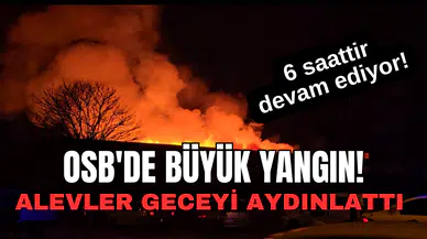Afyonkarahisar OSB'de Büyük Yangın