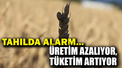 Tahılda alarm...