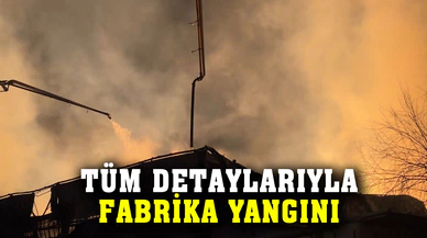 Orman ürünleri fabrikasında büyük yangın