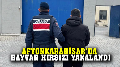Hayvan hırsızı yakalandı