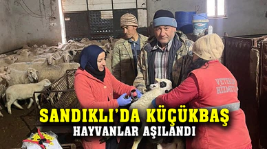 Küçükbaş hayvanlar aşılandı