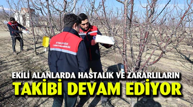 Ekili alanlarda hastalık ve zararlıların takibi devam ediyor