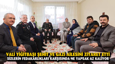 Vali Yiğitbaşı şehit ve gazi ailesini ziyaret etti
