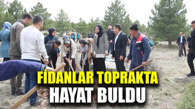 Fidanlar Toprakla Buluştu