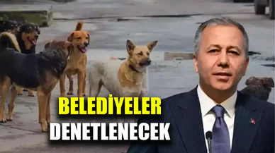 Yerlikaya açıkladı: Belediyeler denetlenecek