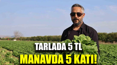 Tarlada 5 TL, manavda 5 katı! Bu sebze cep yakıyor...
