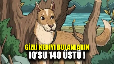 Gizli kediyi bulanların IQ’su 140 üstü! 7 saniyede gizli kediyi bulun…
