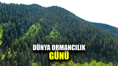 21-26 Mart Dünya Ormancılık Günü