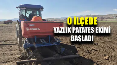 Dinar’da yazlık patates ekimi başladı