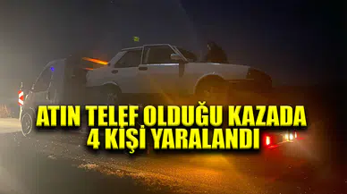 Afyonkarahisar'da atın telef olduğu kazada 4 kişi yaralandı