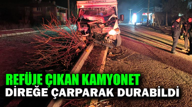 Afyonkarahisar'da kamyonet direğe çarptı