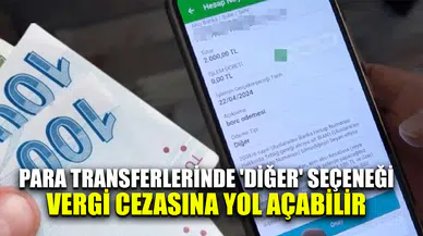 Para transferlerinde "diğer" seçeneği vergi cezasına yol açabilir